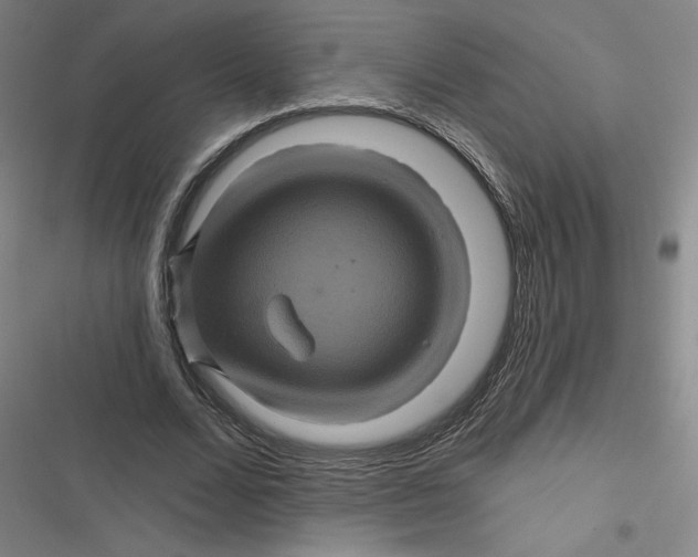 X0000116870680201001121302