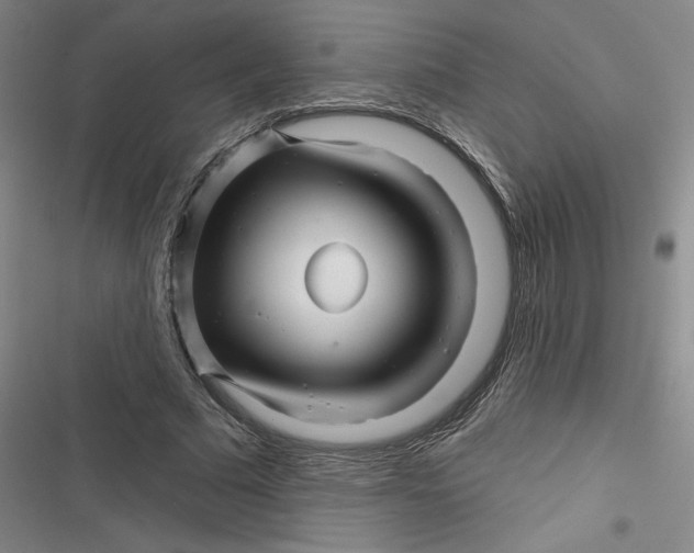 X0000116870681201001121302