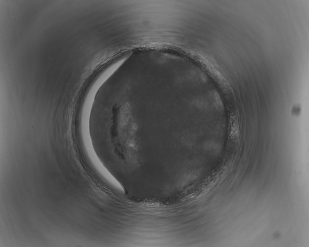 X0000116870685201001121302