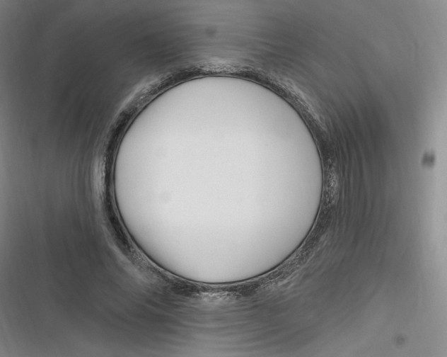 X0000116870686201001121302