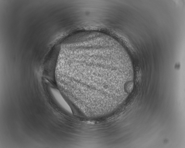 X0000116870687201001121302