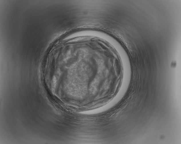 X0000116870688201001121302