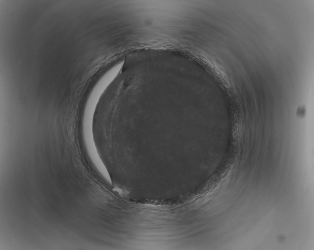 X0000116870689201001121302