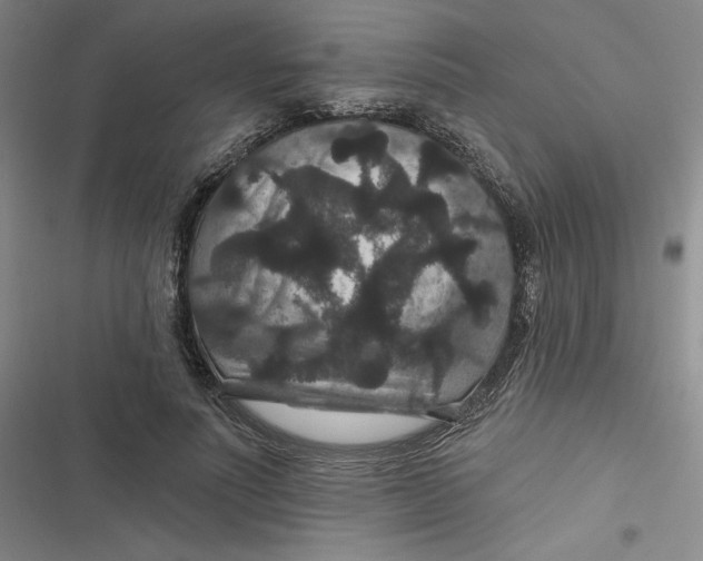 X0000116870691201001121302