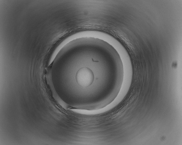 X0000116870692201001121302