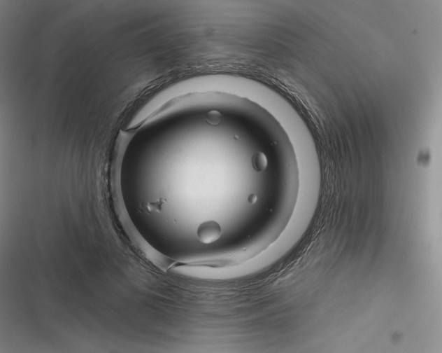 X0000116870693201001121302