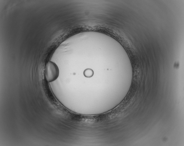 X0000116870694201001121302