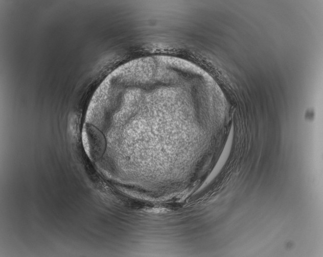 X0000116870695201001121302