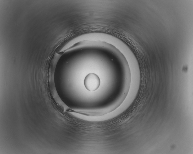 X0000116870696201001121302