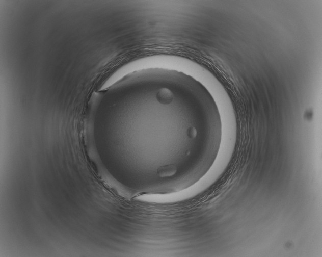 X0000116870697201001121302