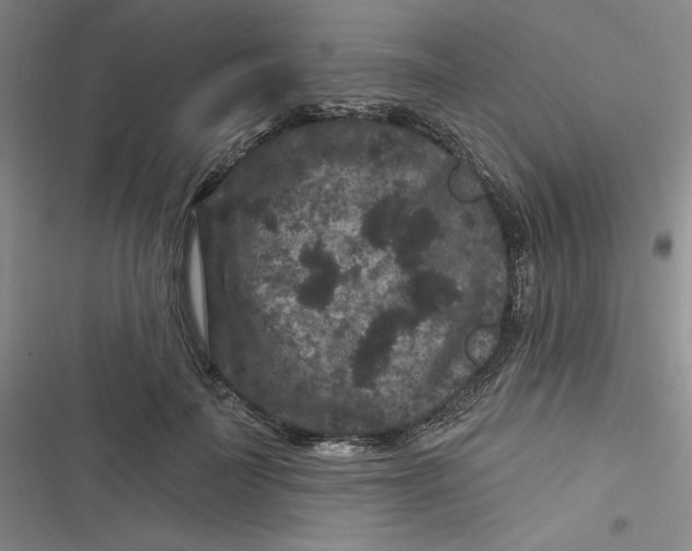 X0000116870699201001121302