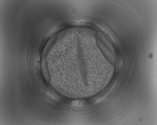 X0000116870700201001121302