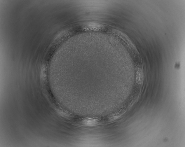 X0000116870701201001121302