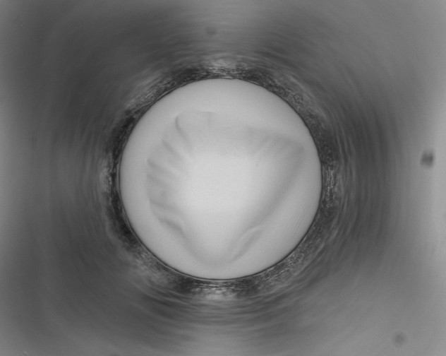 X0000116870702201001121302