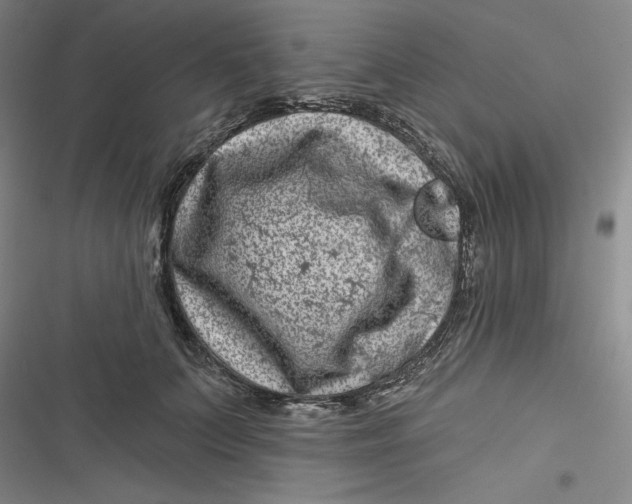 X0000116870703201001121302