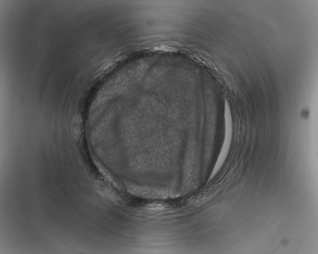 X0000116870704201001121302