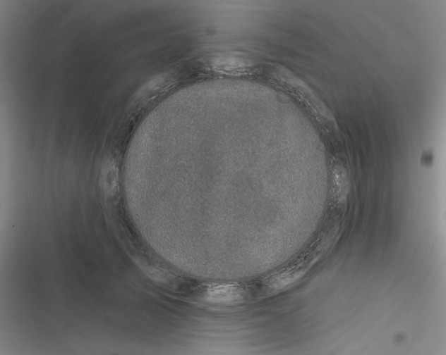 X0000116870705201001121302