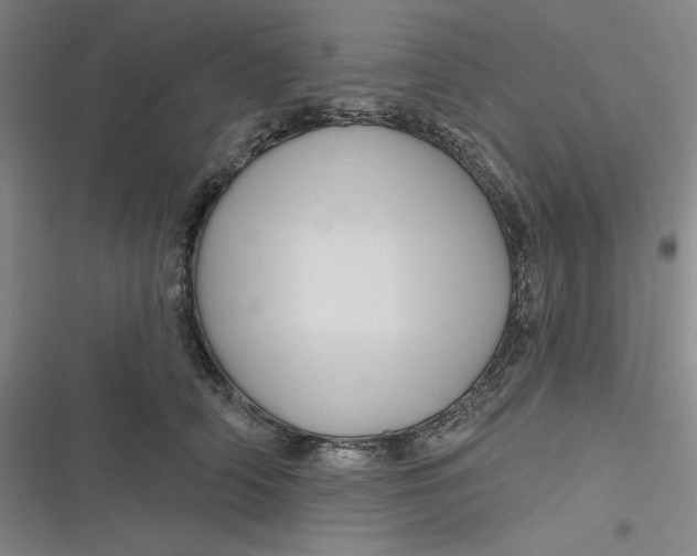 X0000116870706201001121302