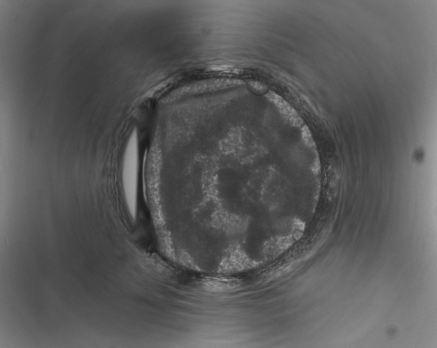 X0000116870707201001121302