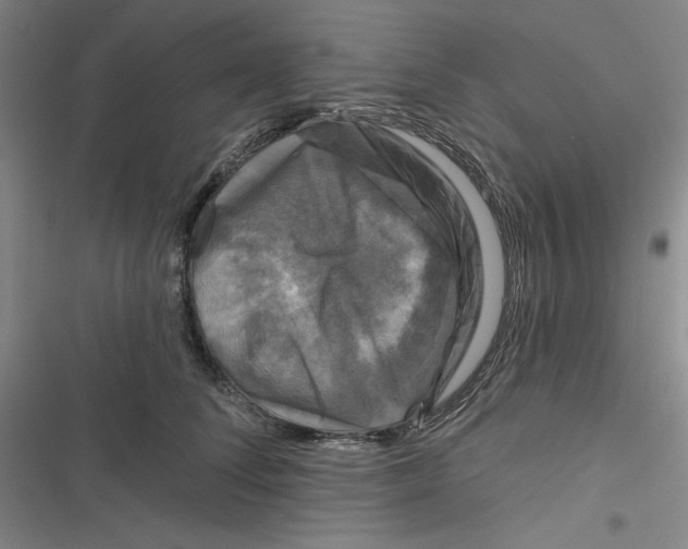 X0000116870708201001121302