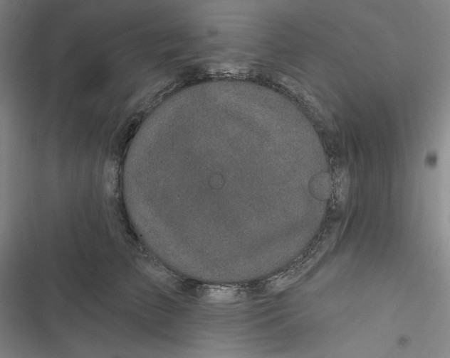 X0000116870709201001121302