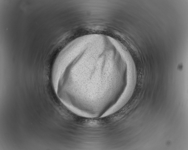 X0000116870710201001121302