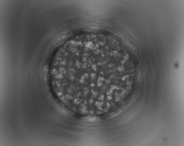 X0000116870711201001121302