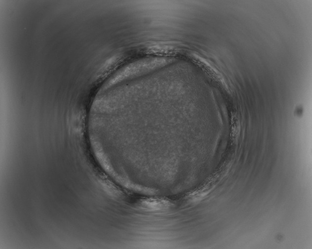 X0000116870712201001121302