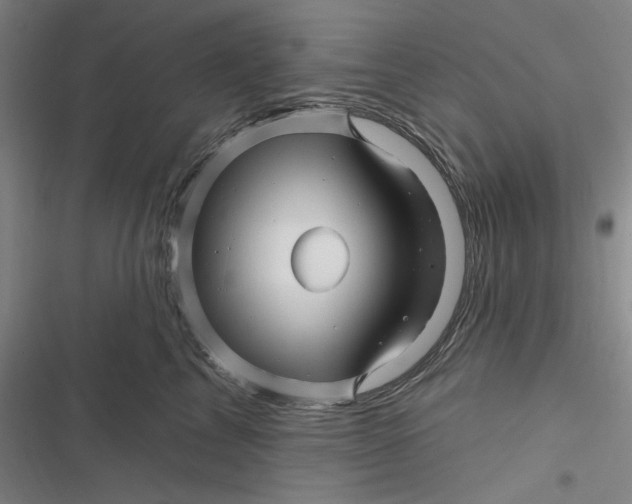 X0000116870713201001121302