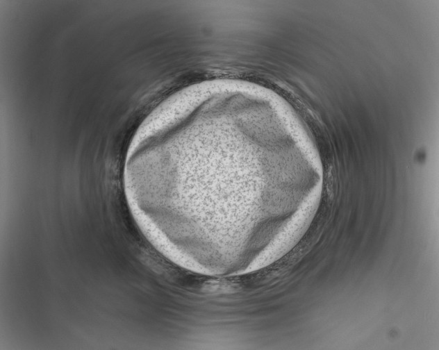 X0000116870714201001121302