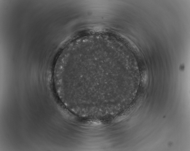 X0000116870715201001121302