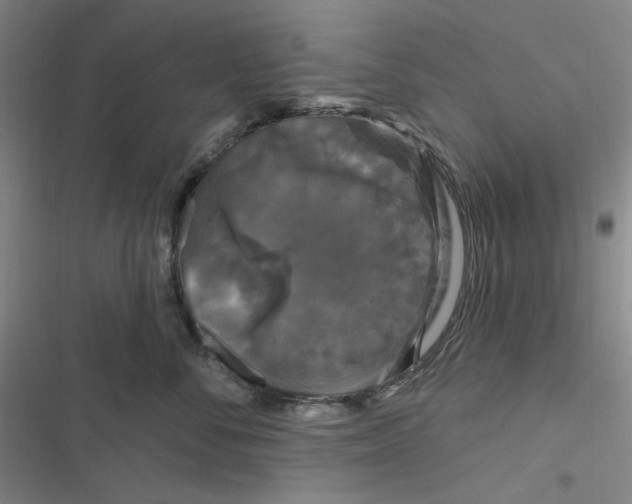 X0000116870716201001121302