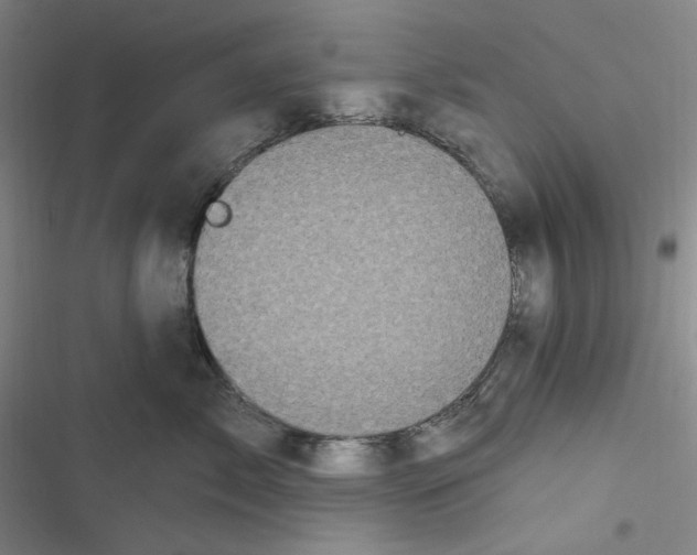 X0000116870717201001121301