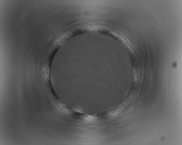 X0000116870718201001121301