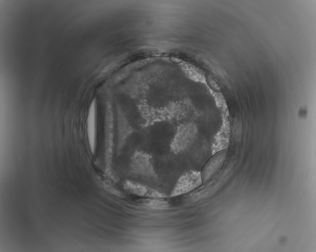 X0000116870719201001121301