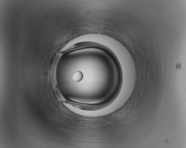 X0000116870720201001121301