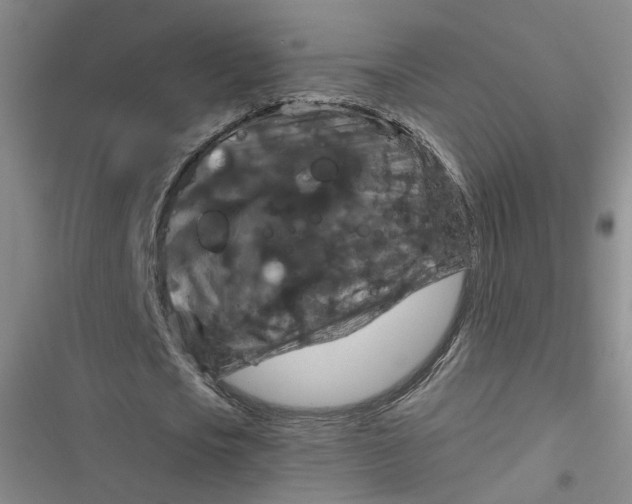 X0000116870721201001121301