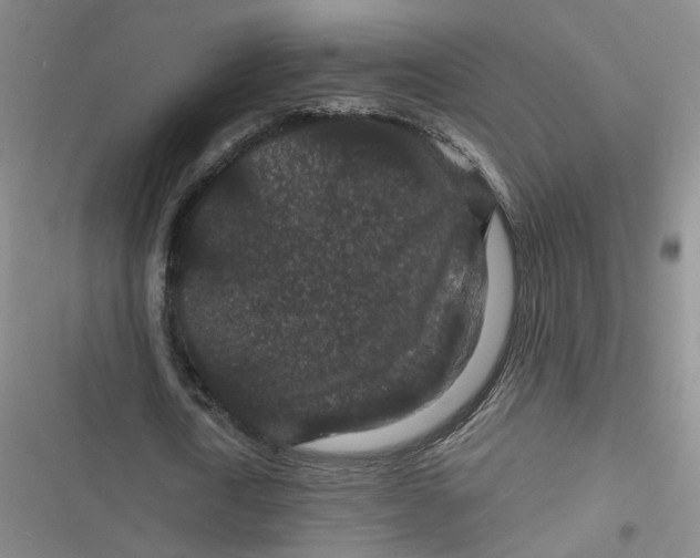 X0000116870722201001121301