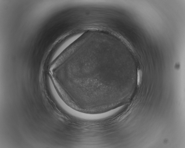 X0000116870723201001121301