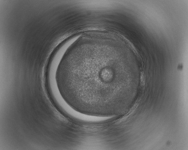 X0000116870725201001121301