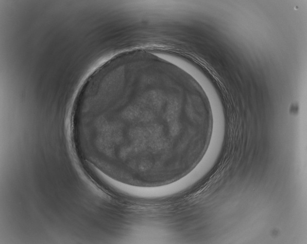 X0000116870726201001121301