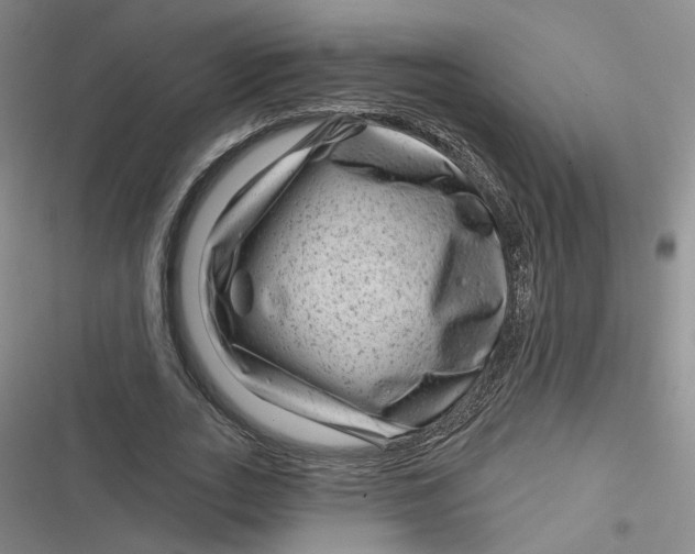 X0000116870727201001121301