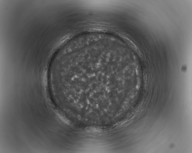 X0000116870729201001121301