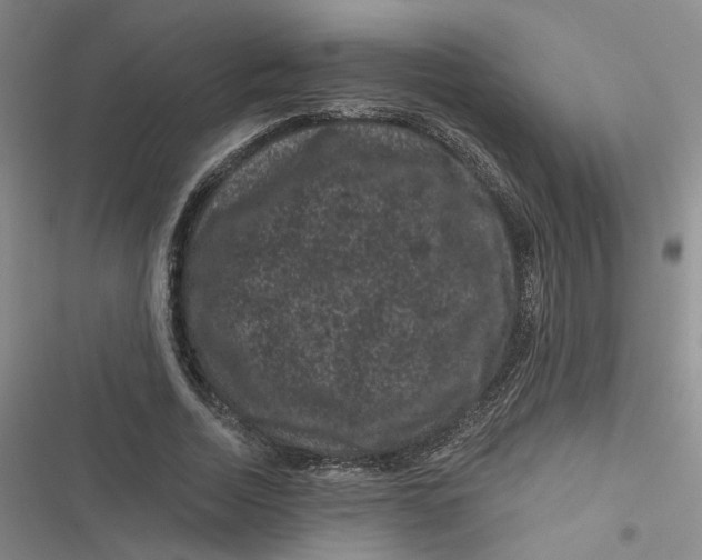 X0000116870730201001121301