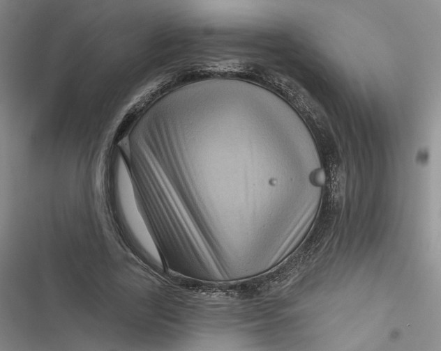 X0000116870731201001121301