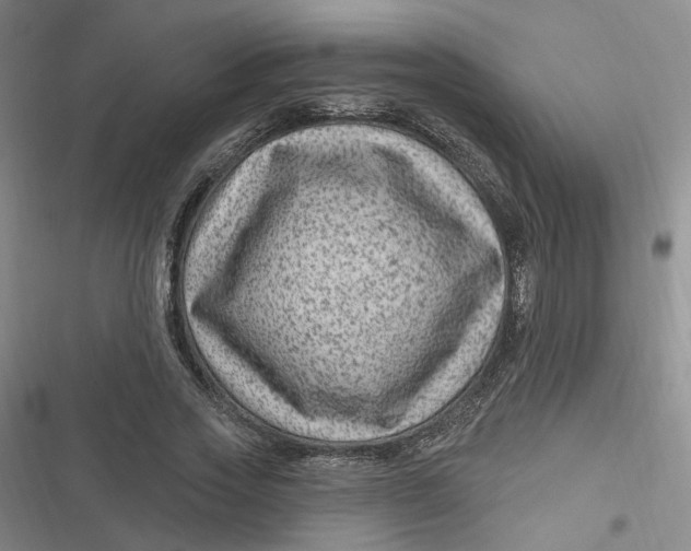 X0000116870733201001121301