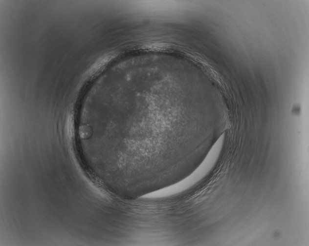 X0000116870734201001121301