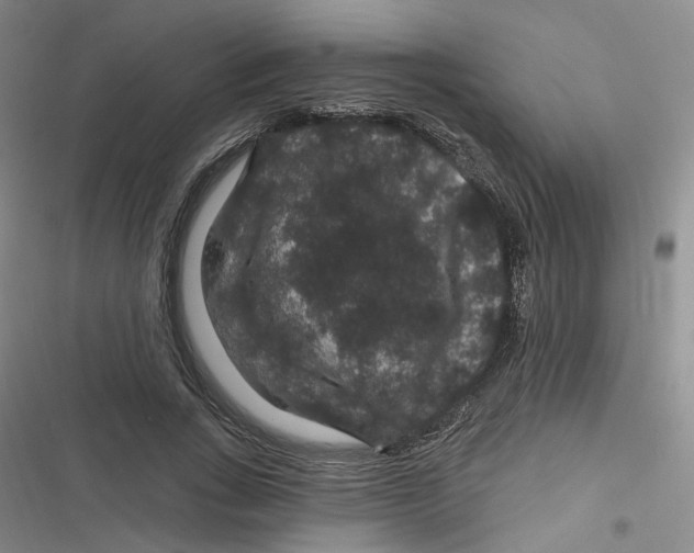 X0000116870735201001121301