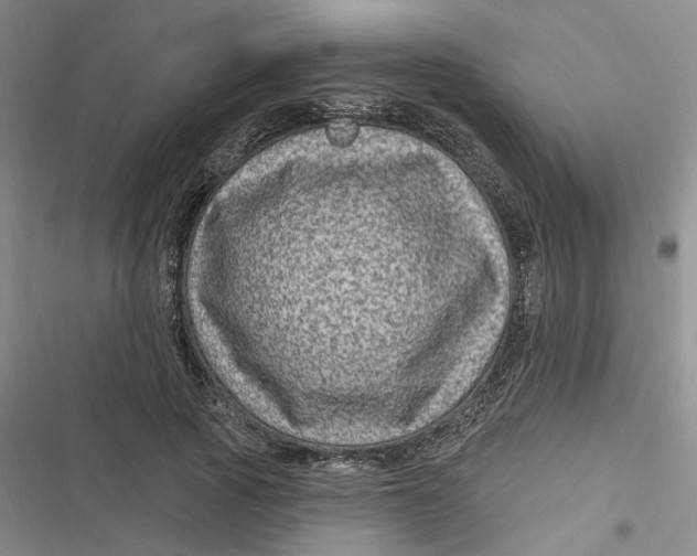 X0000116870737201001121301