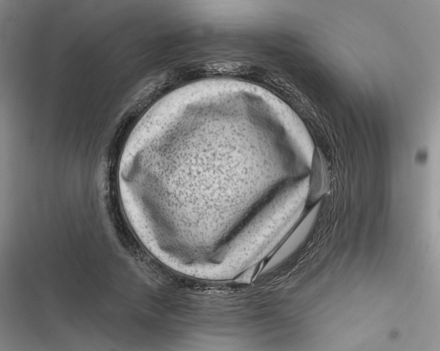 X0000116870738201001121301